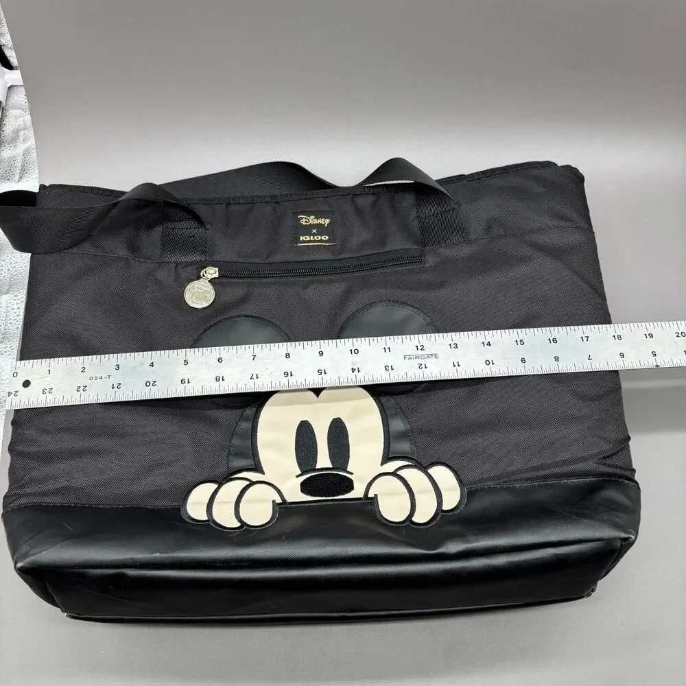 Igloo disney insulated
